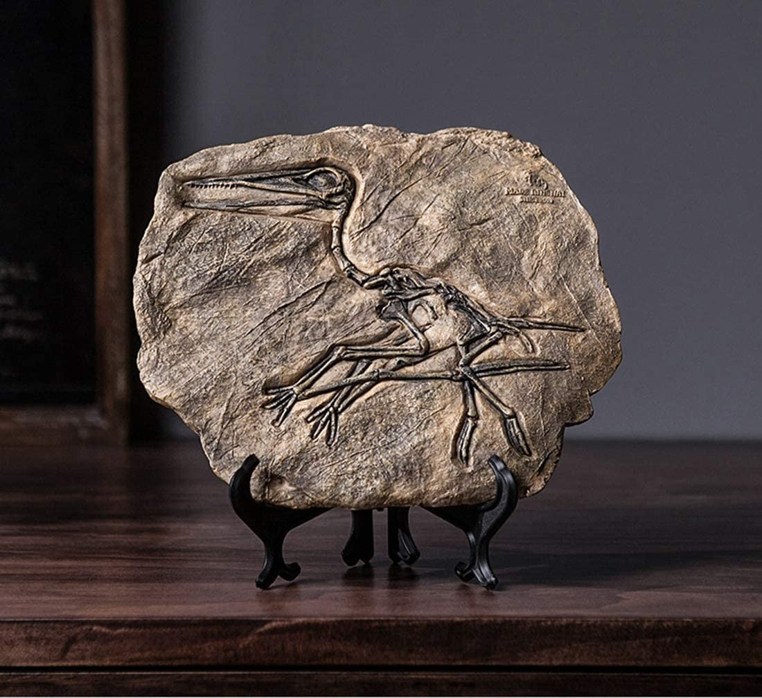 Resin Dinosaur Fossil 3