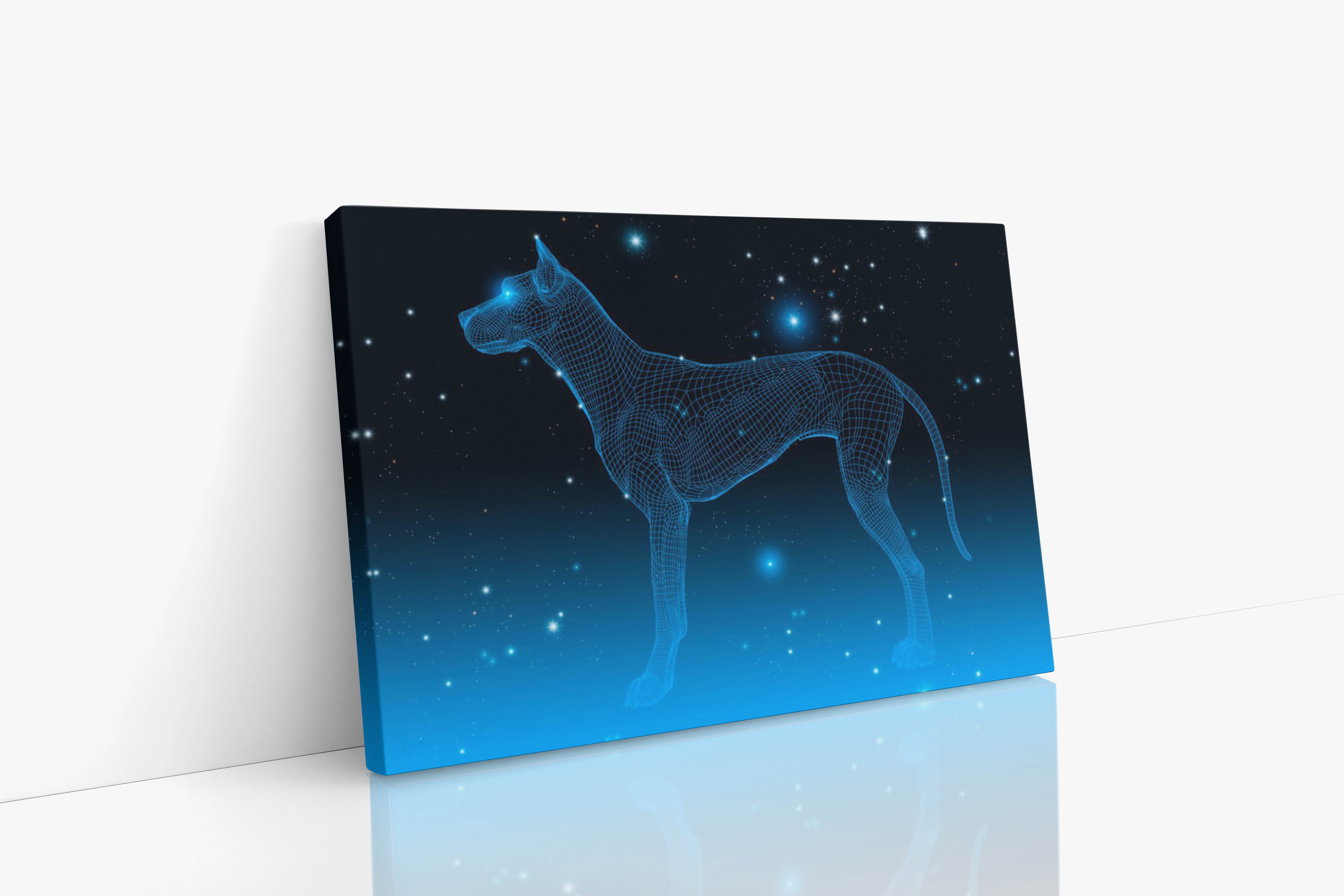 Dog Constellation